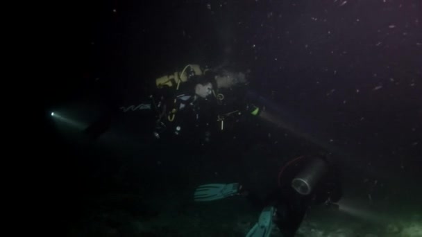 Scuba diver diep onderwater zwemmen. — Stockvideo