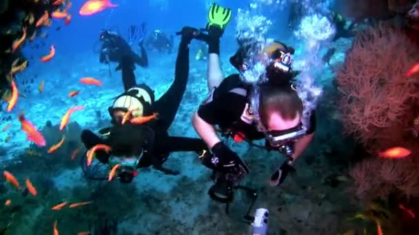 Mergulhadores subaquáticos no fundo de peixes escolares em Maldivas . — Vídeo de Stock