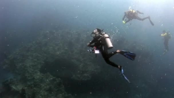 Scuba diver βαθιά υποβρύχια κολύμβηση. — Αρχείο Βίντεο