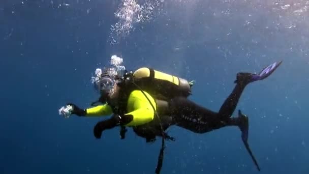 Scuba diver βαθιά υποβρύχια κολύμβηση. — Αρχείο Βίντεο