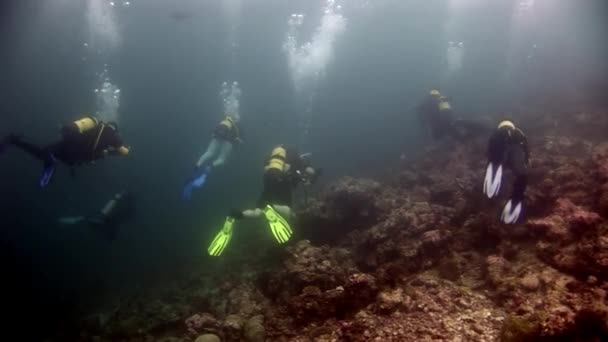 Scuba diver plavání hluboko pod vodou. — Stock video