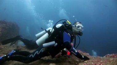 Deniz yatağının arka planında dalgıçlar suyun altında.