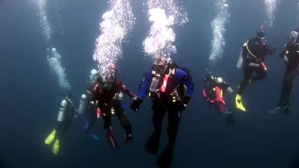 Scuba divers underwater. — Stock Video