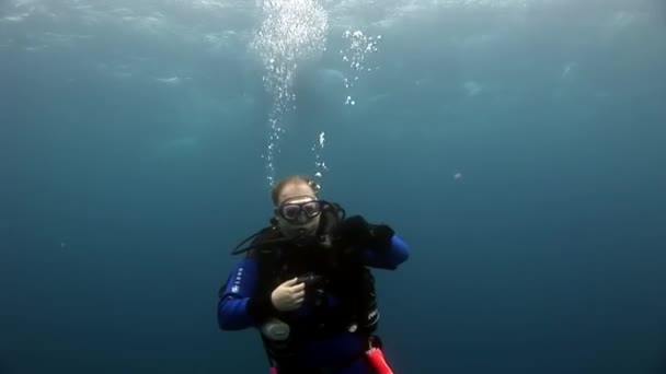 Duikers onderwater kloof diepe van de zeebodem. — Stockvideo