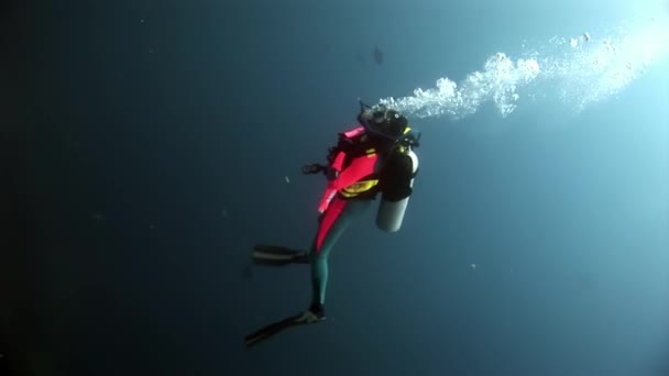 Дайвер под водой в океане . — стоковое видео