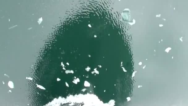 Reflet de l'avant du navire flottant dans la glace miroir d'eau de l'océan Antarctique . — Video