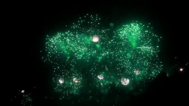 Vuurwerk bij nacht op zwarte achtergrond weergeven. — Stockvideo