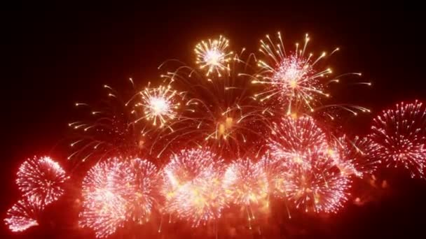 Exhibición de fuegos artificiales en la noche sobre fondo negro . — Vídeos de Stock