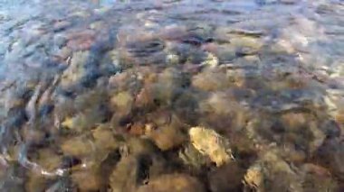 Bahar mevsiminde Temnik Dağı 'nda temiz su ve taş dibe vurur..