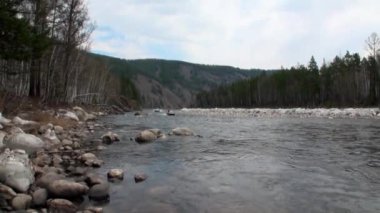 Dağ nehri Temnik 'teki bataklık teknesi .