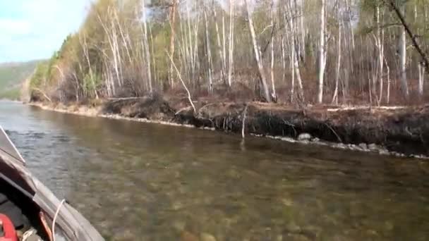 Airboat planeur sur la rivière de montagne Temnik . — Video