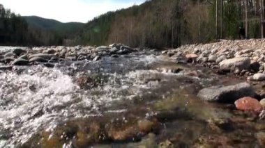Dağ nehri Temnik, Baykal Devlet Doğa Koruma Alanı 'nın sınırında..
