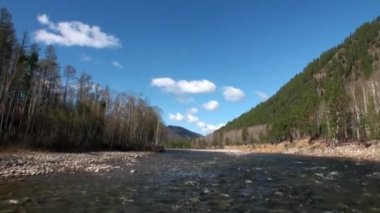 Rusya 'nın Sibirya Ormanı ve Dağları' nda nehir akıntıları.