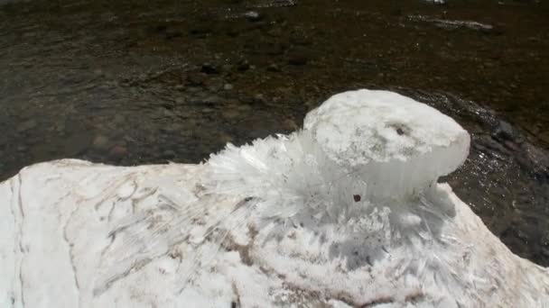 La fonte des neiges sur la rivière de montagne Temnik en Sibérie de la Russie. — Video