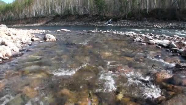Agua limpia y el fondo de roca de piedra en primavera en el río de montaña Temnik. — Vídeo de stock