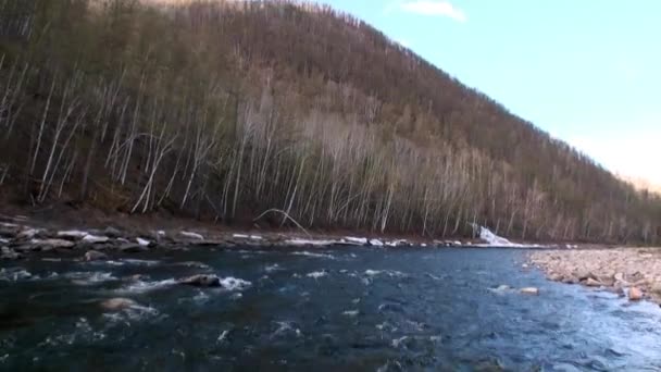 Ufer des Gebirgsflusses Temnik an der Grenze zum Baikal. — Stockvideo