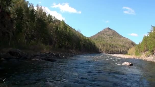 Rapides fluviaux en montagne et forêt de Sibérie de Russie. — Video