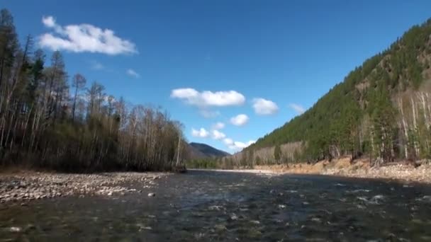 Rivier stroomversnellingen in Berg en bos van Siberië van Rusland. — Stockvideo