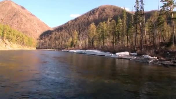 Rusya 'nın Sibirya Dağı' ndaki Rocky Nehri kıyısında.. — Stok video