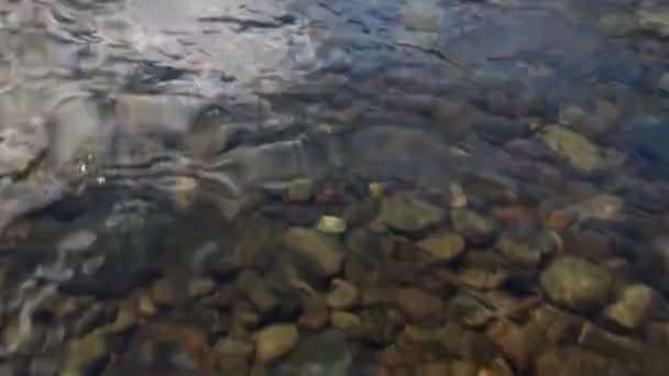 Čistá voda a kamenné dno na jaře v horské řece Temnik. — Stock video