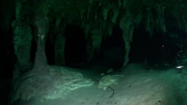 Yucatan cenotes sualtı.