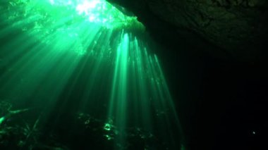 Yucatan cenotes sualtı mağaraları içinde güneş ışığı yansıması.