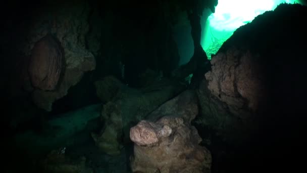 Yucatan cenotes undervattensgrottor i Mexiko. — Stockvideo