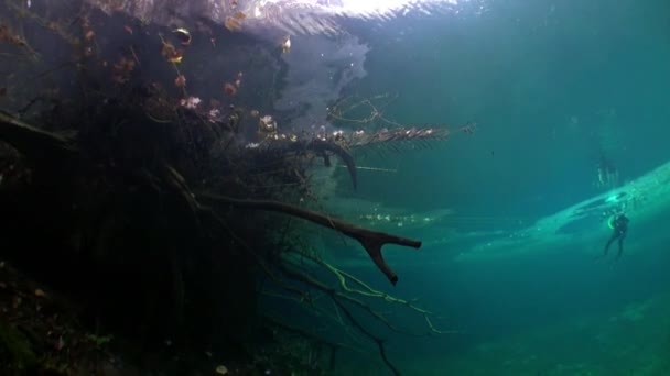 Yucatan cenotes underwater in Mexico. — Stock Video