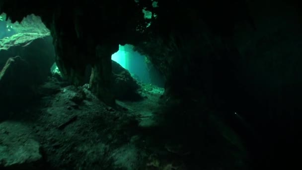 Yucatan cenotes pod vodou v Mexiku. — Stock video