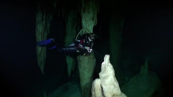 Cenote dello Yucatan grotte sottomarine . — Video Stock