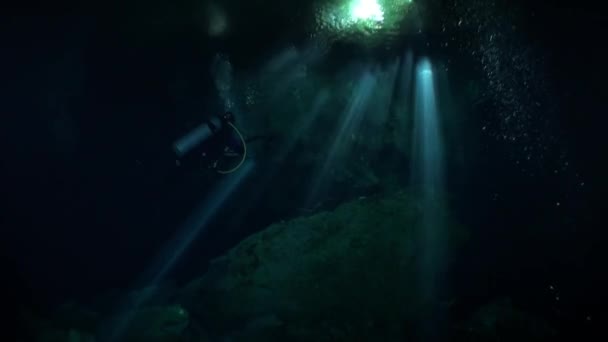 Simma med ficklampa i mörka grottor i Yucatan cenotes under vattnet i Mexiko. — Stockvideo