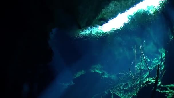 Meksyk Jukatan cenotes pod wodą. — Wideo stockowe