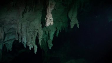 Tüplü dalış sualtı mağaraları Yucatan Meksika cenotes.