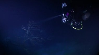 Yucatan Meksika cenotes sualtı.