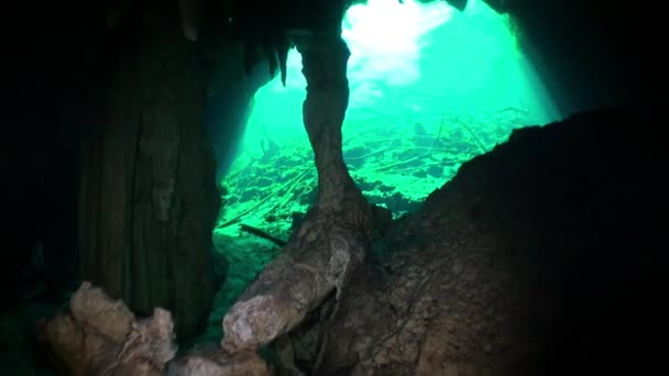 Yucatan cenotes underwater cave in Mexico . — Stok Video