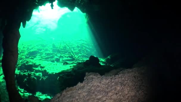 Χερσόνησος Γιουκατάν cenotes υποβρύχια σπήλαια στο Μεξικό. — Αρχείο Βίντεο