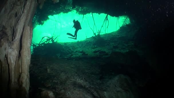 Kořeny stromů pod vodou v jeskyní cenotes Yucatan. — Stock video
