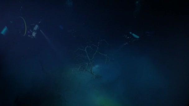 Yucatan Mexico cenotes underwater. — Stock Video