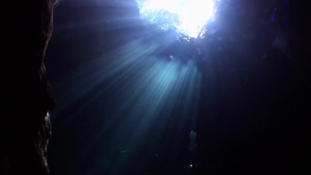 Grotten van Yucatan cenotes onderwater in Mexico. — Stockvideo