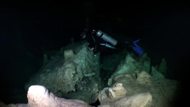 Cenotes yucatecos bajo el agua en México . — Vídeos de Stock