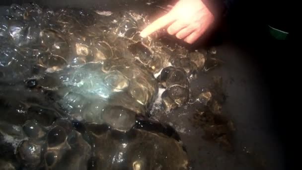 Ledové kameny a ruku v jeskyni Špicberky Arctic. — Stock video