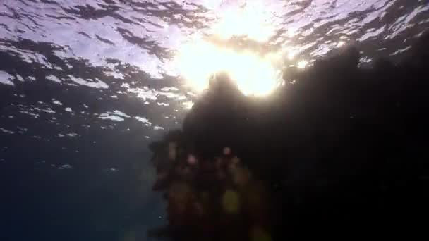 Sonne unter Wasser spiegelt sich im roten Meer. — Stockvideo