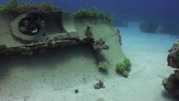 Ναυάγιο στο βυθό υποβρύχια Ερυθρά θάλασσα. — Αρχείο Βίντεο