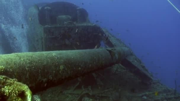 Підводний Червоного моря затонулого судна. — стокове відео