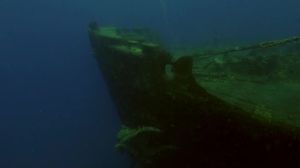 Dek van een gezonken schip onderwater rode zee. — Stockvideo