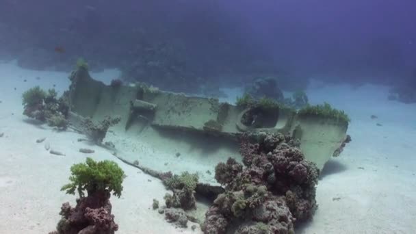 Naufrágio no fundo do mar subaquático Mar Vermelho . — Vídeo de Stock