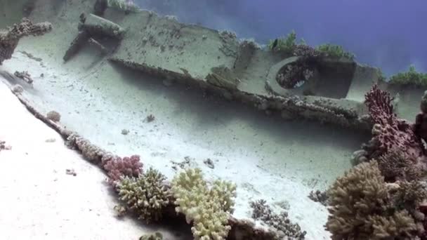 Schiffbruch auf dem Meeresboden unter rotem Meer. — Stockvideo