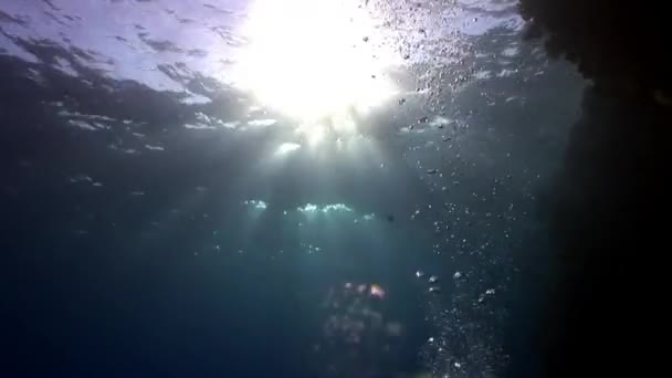 Sonne unter Wasser spiegelt sich im roten Meer. — Stockvideo