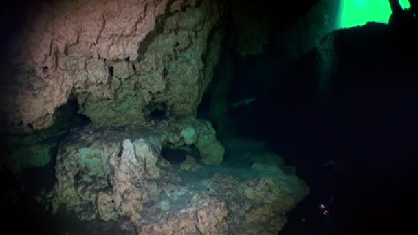 Scuba diving underwater in caves of Yucatan Mexico cenotes. — Stock Video