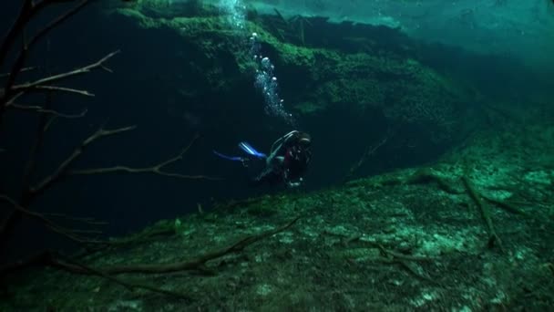 Сеноты Юкатана под водой в Мексике . — стоковое видео